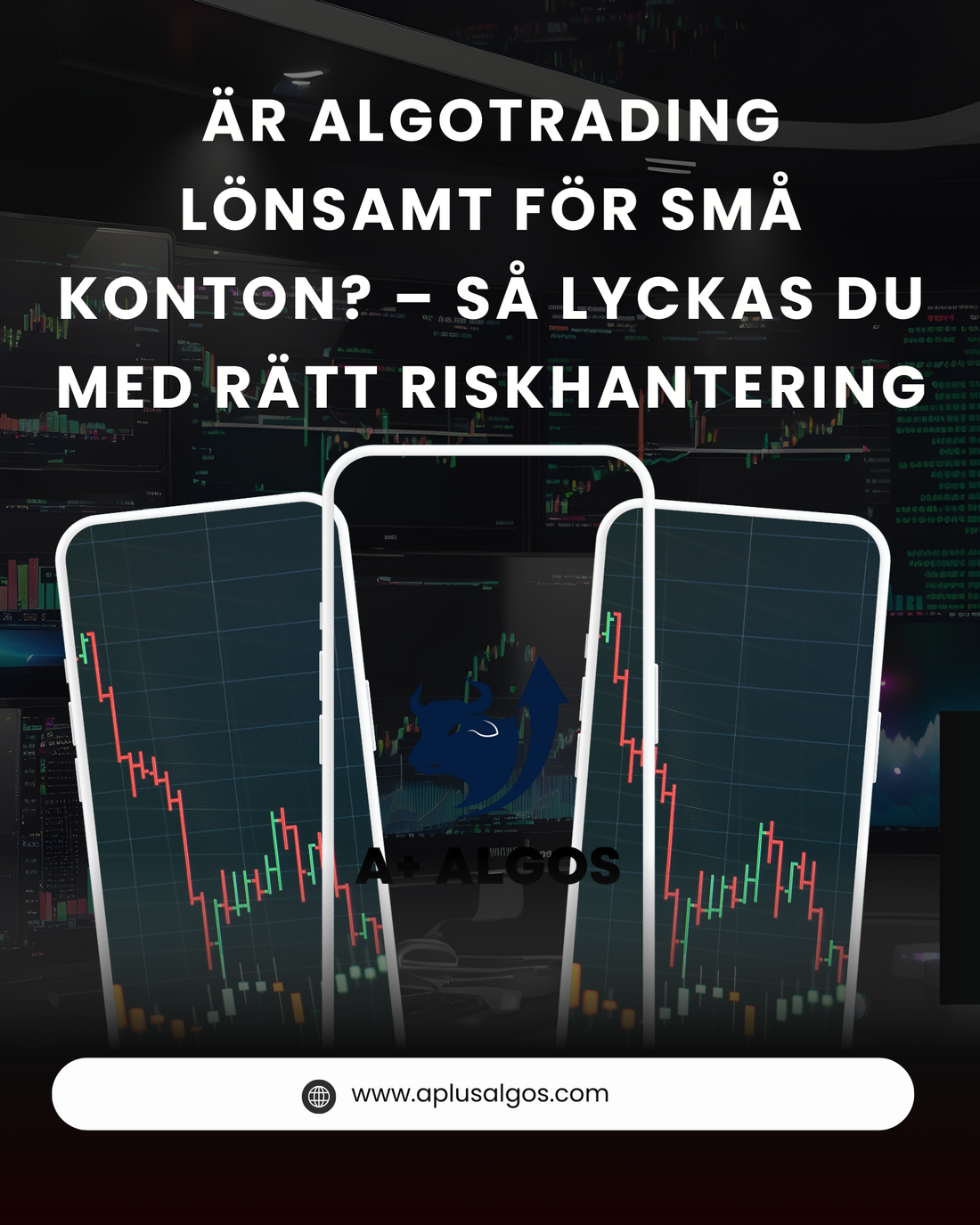 Is Algorithmic Trading Profitable for Small Accounts? – How You Can Succeed with Risk Management